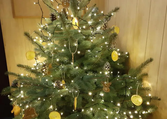 Prázdninový dům Dom Of Poland - 500m Od Suntago *